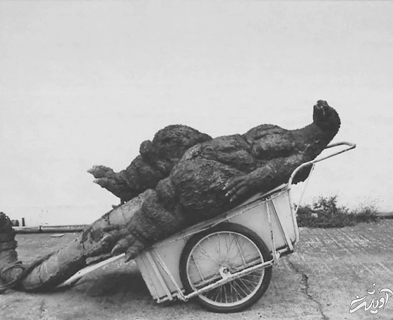 عکس‌هایی از پشت صحنۀ اولین فیلم «گودزیلا»؛ هفتاد سال قبل